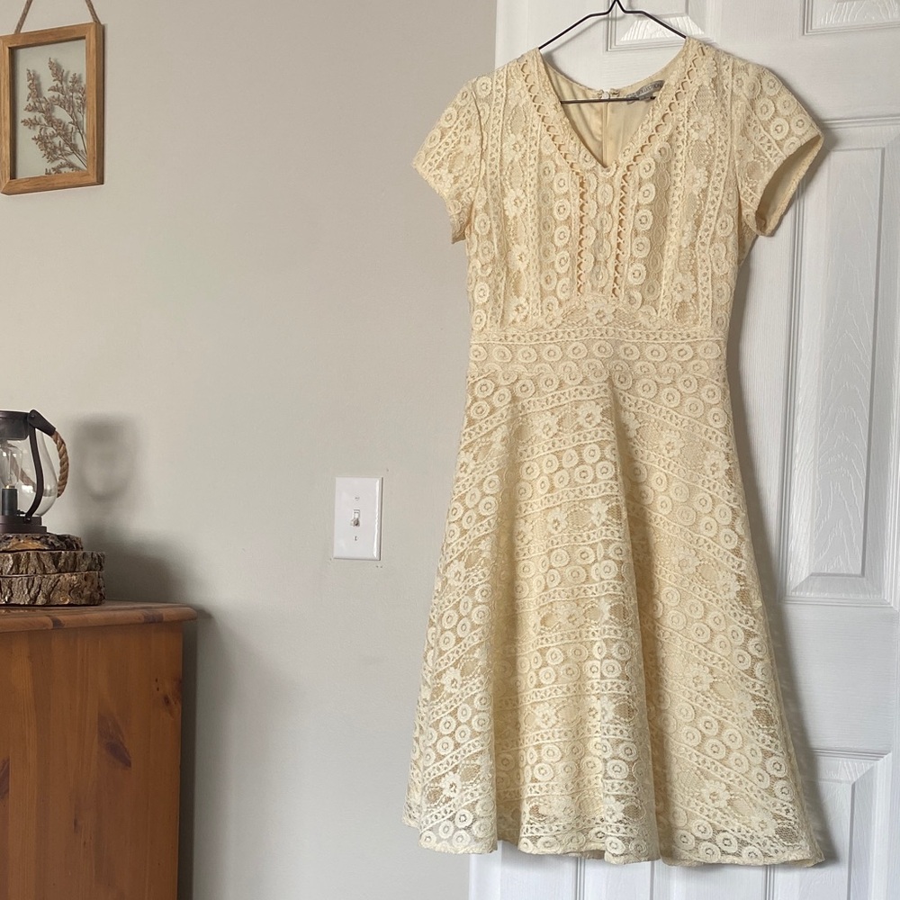 DownEast Cream Lace Midi Dress